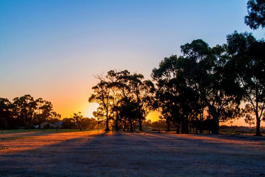 Inn The Tuarts Guest Lodge Busselton Accommodation - Adults Only Esterno foto
