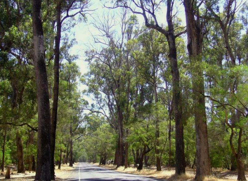 Inn The Tuarts Guest Lodge Busselton Accommodation - Adults Only Esterno foto