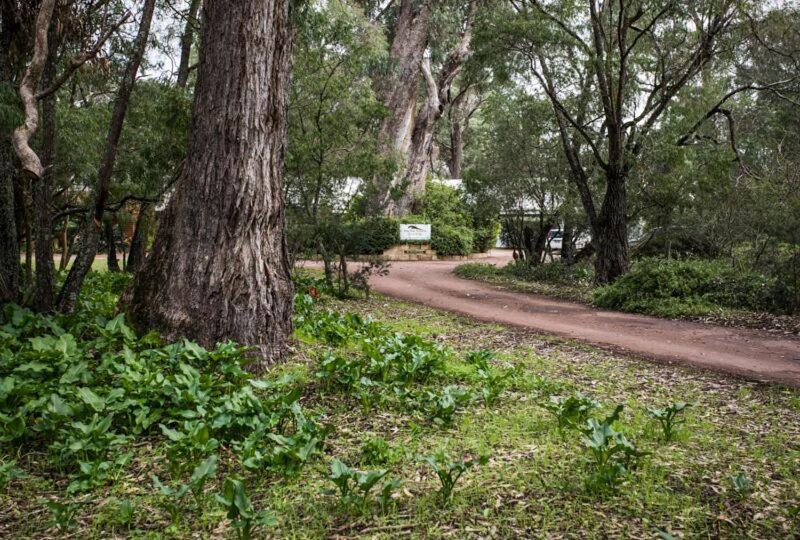 Inn The Tuarts Guest Lodge Busselton Accommodation - Adults Only Esterno foto